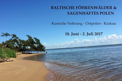 Baltische Föhrenwälder & sagenhaftes Polen 2017