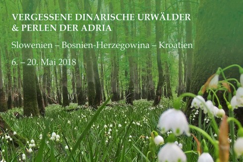 Vergessene dinarische Urwälder & Perlen der Adria 2018